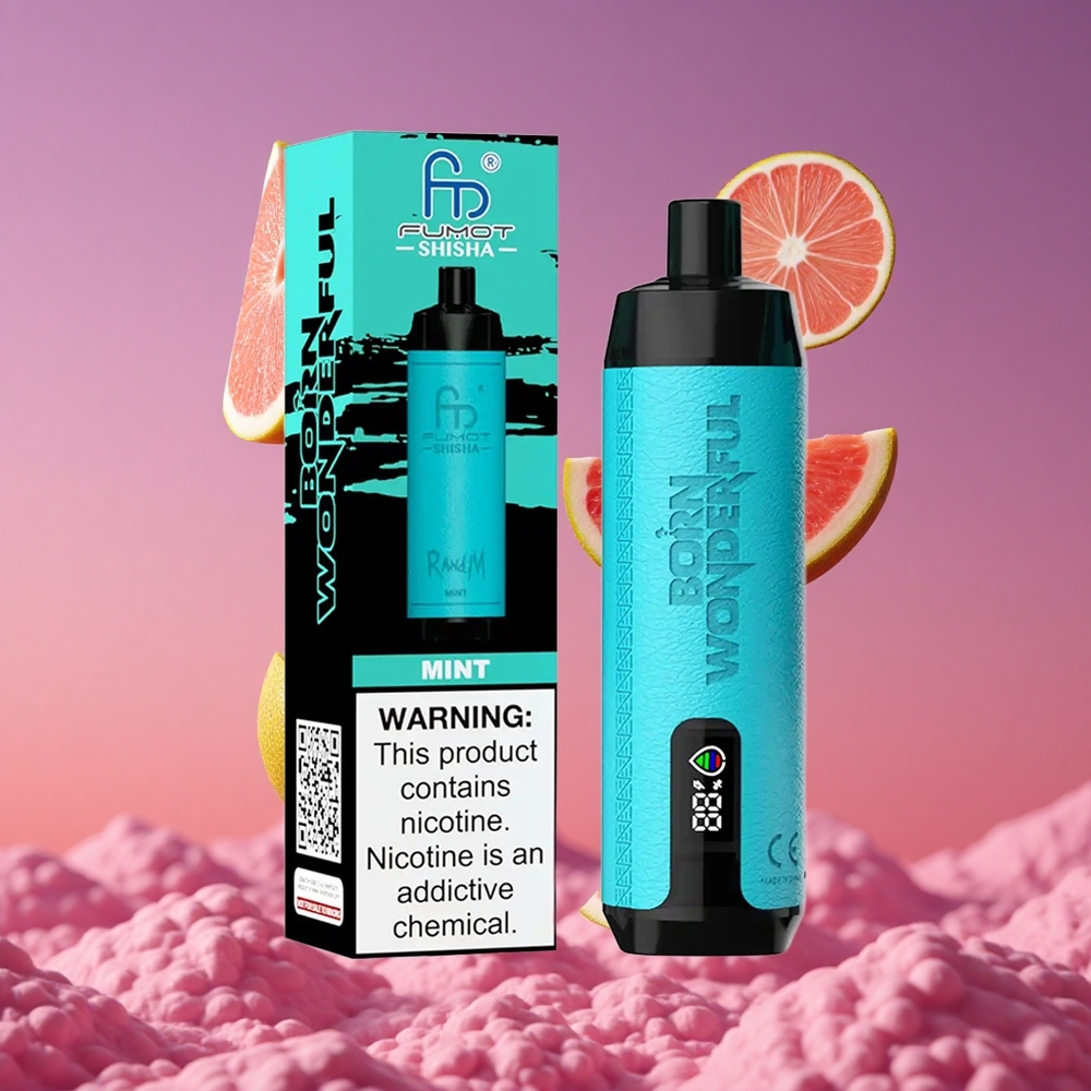 RandM Fumot Shisha 10000 Puffs Vape Descartável Menta com LED Indicador e 18ml E-líquido Pré-preenchido